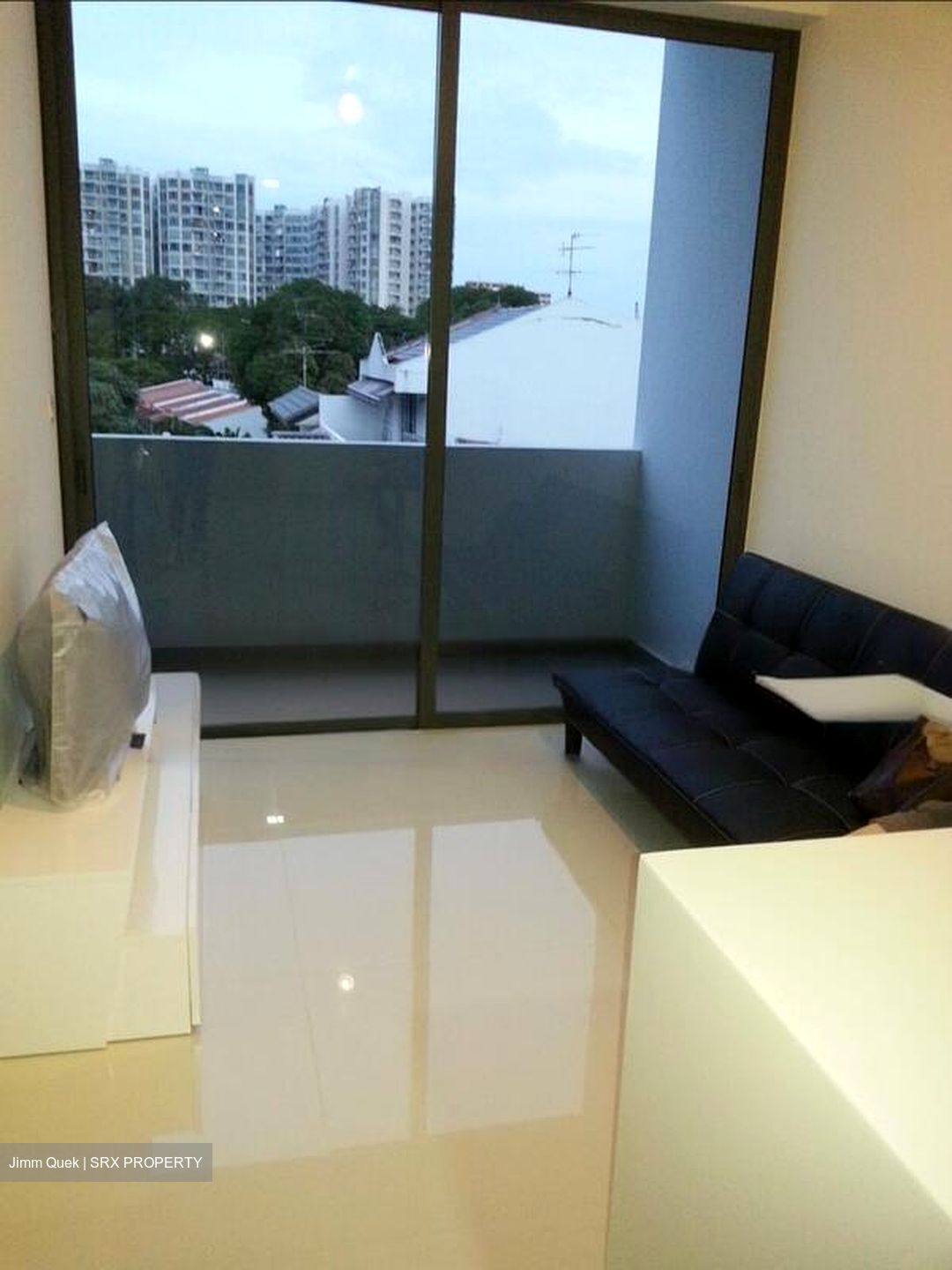 21 Richards (D19), Apartment #473410441